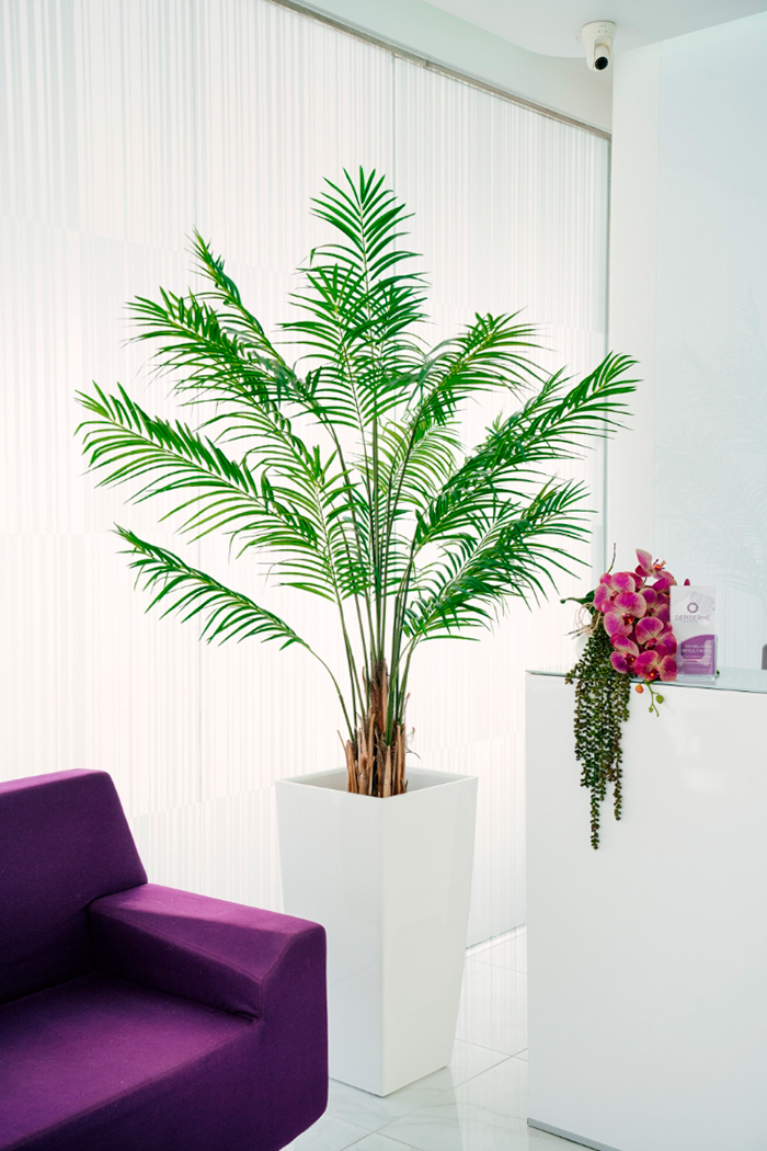 depiderme-quem-somos-instalacoes-4